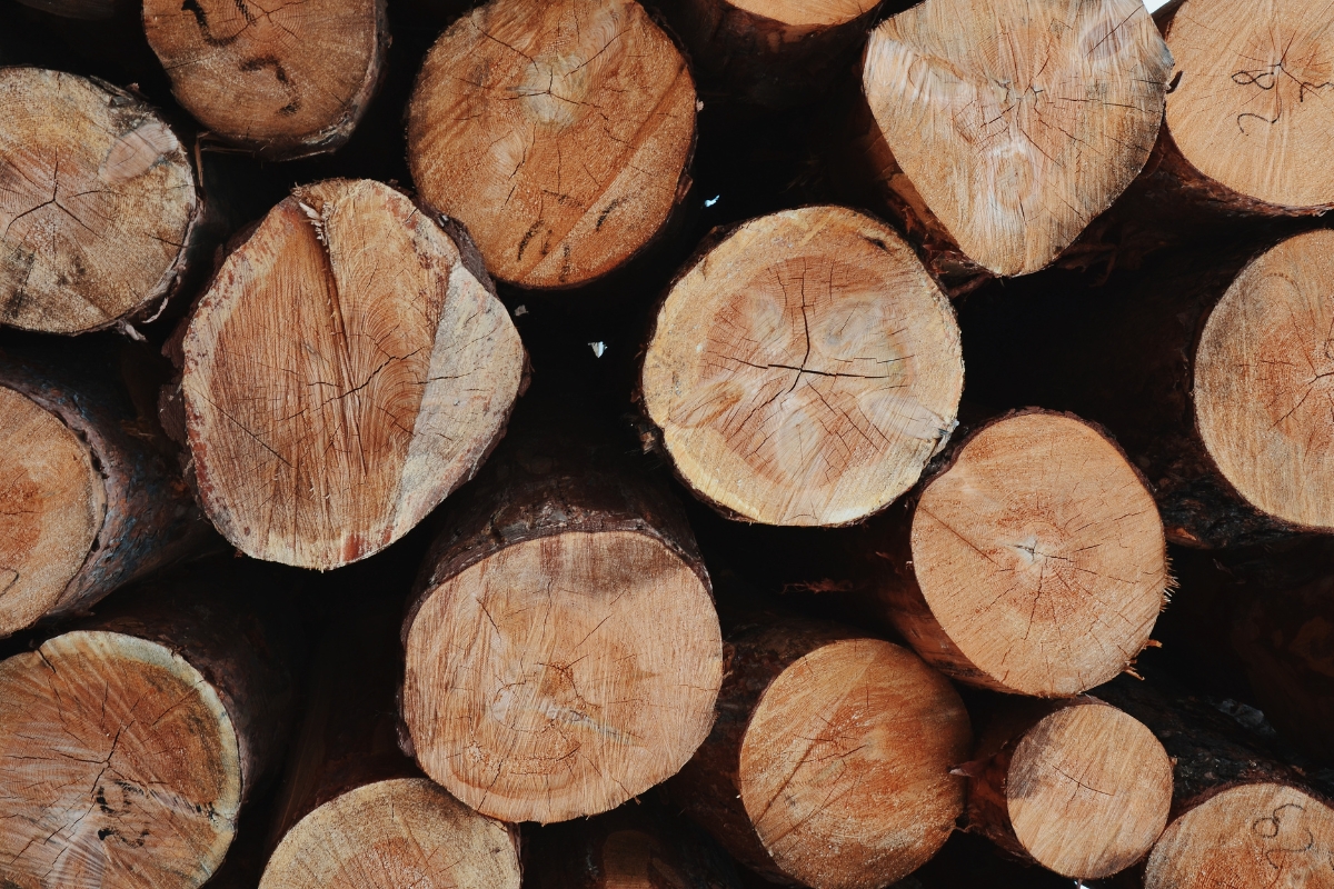 Quel est le meilleur bois de chauffage pour une cheminée ?